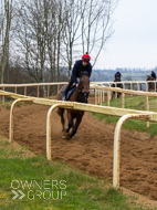 BP210325-27 - Squire Danagher